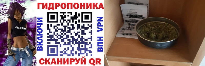 Конопля индика  Лаишево 